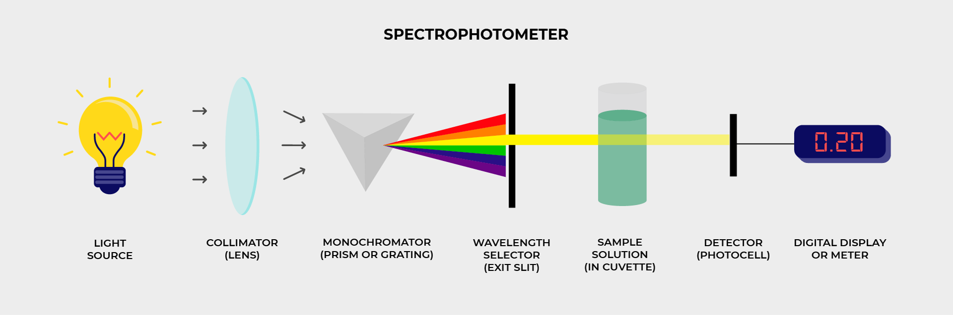 Spectrophotometer